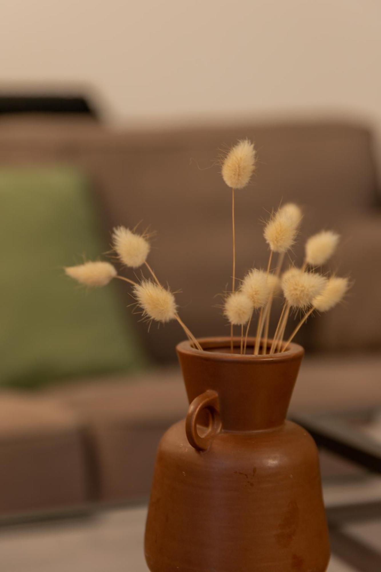 Delalauret Apartment - Vannes Centre المظهر الخارجي الصورة