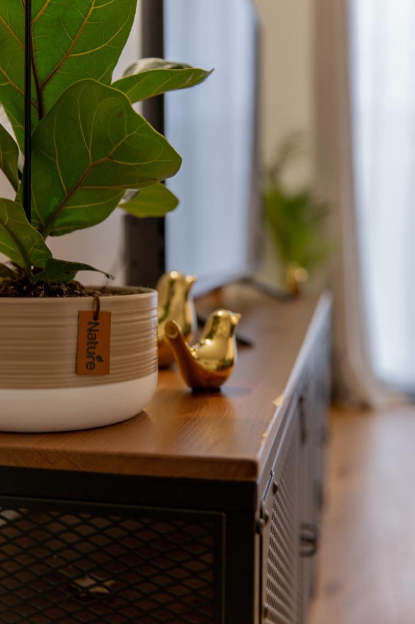 Delalauret Apartment - Vannes Centre المظهر الخارجي الصورة